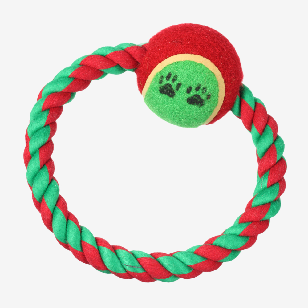 Dog Leashes Blue - Image 4