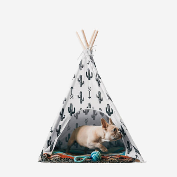 Indoor Pet House
